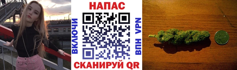 Купить закладку ГАШ  COCAIN  Псилоцибиновые грибы  СОЛЬ  Бошки Шишки  МЕФ  АМФ  Кингисепп